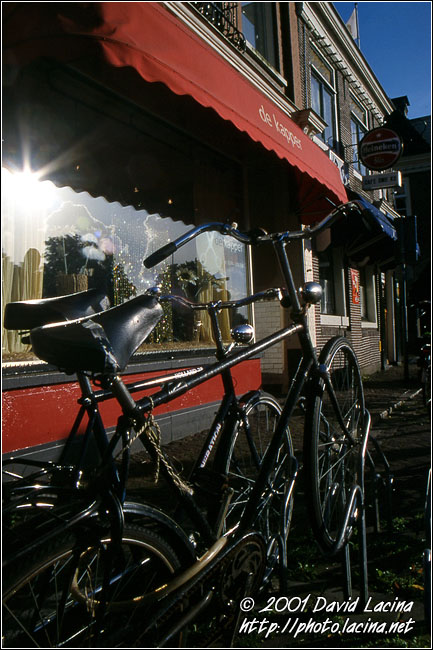 Bike On Street - Best Of Netherlands, Netherlands