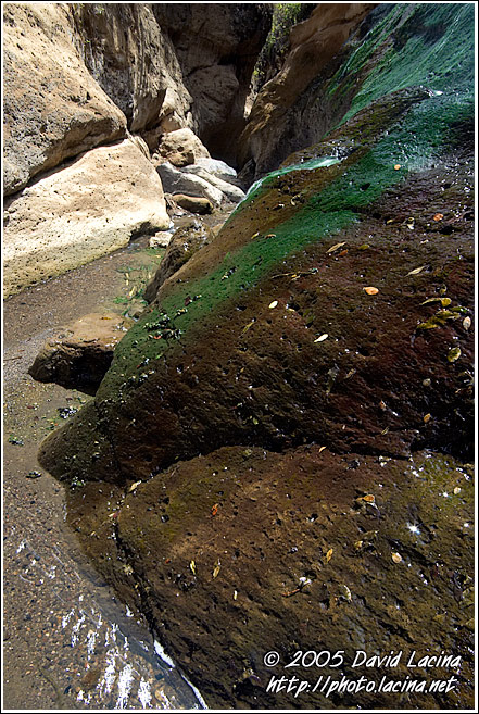 Hot Springs - Hell's Gate, Kenya