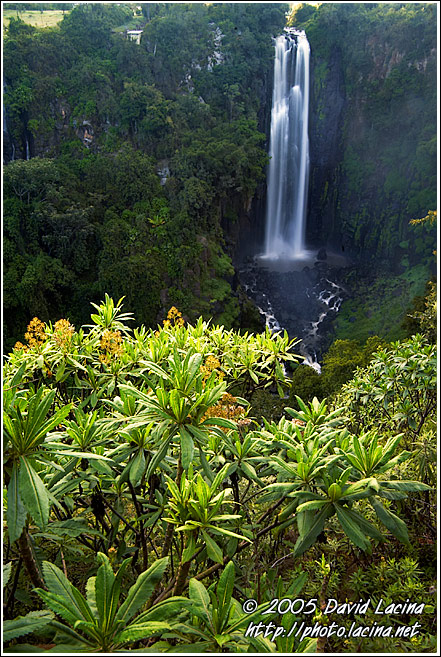 Thomson's Falls - Thomson's Falls, Kenya