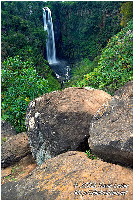 On The Way Down To Thomson's Falls - Thomson's Falls, Kenya