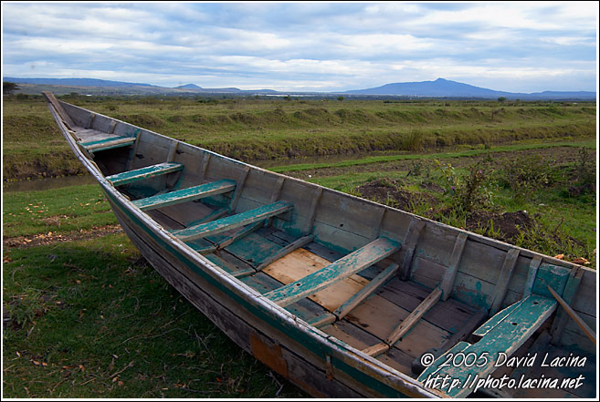 Well-deserved Rest - Lake Naivasha, Kenya