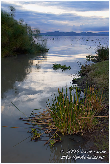 Sunset By Lake Naivasha - Lake Naivasha, Kenya