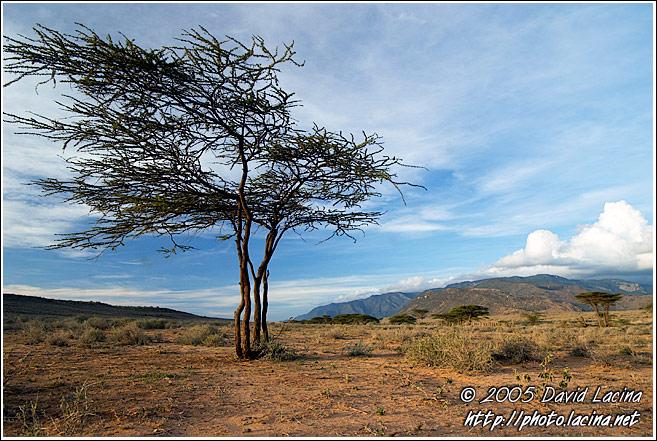 Still Alive? - The Suguta Valley-Nature, Kenya