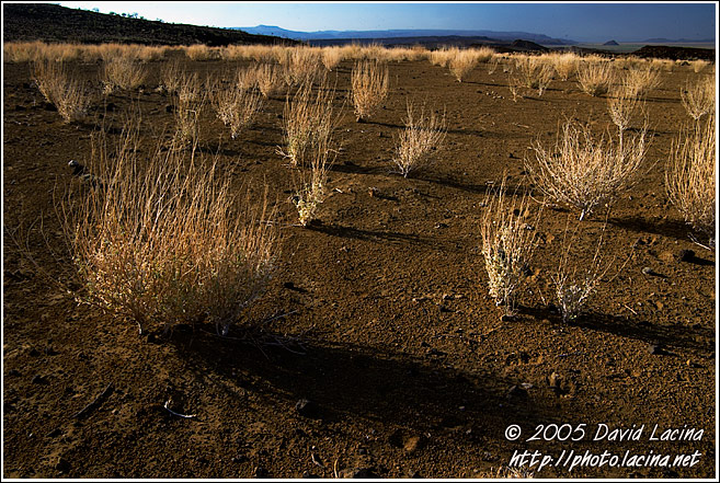 Inhospitable Plains - Lake Logipi, Kenya