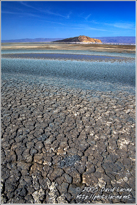 Lake Logipi - Lake Logipi, Kenya