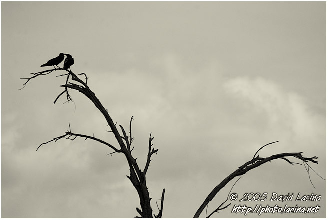 Love In The Middle Of The Desert - Northern Part, Kenya