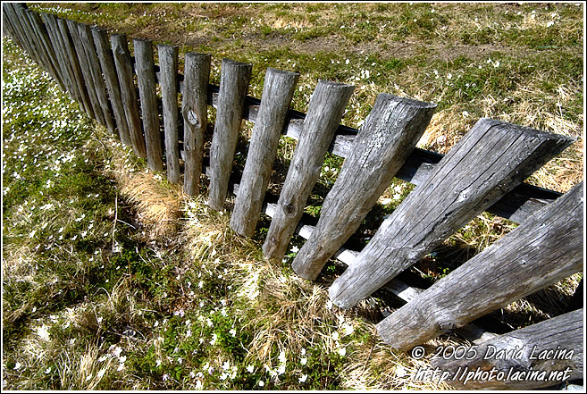 Spring Is Comming - Best of 2005, Norway