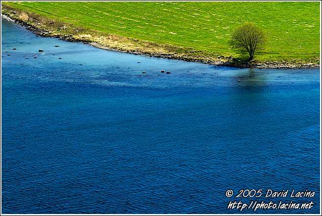 Lonely Tree By Sea - Best of 2005, Norway
