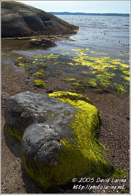 Stone By A Coast - Best of 2005, Norway