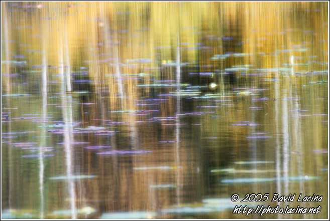 Autumn Is Comming - Best of 2005, Norway