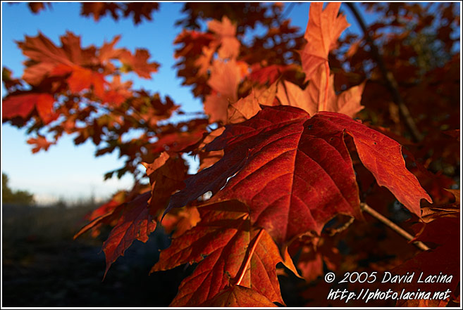 Autumn - Best of 2005, Norway