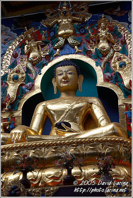 Buddha Shakyamuni Plated With Gold - Golden Temple, Namdroling Monastery, India