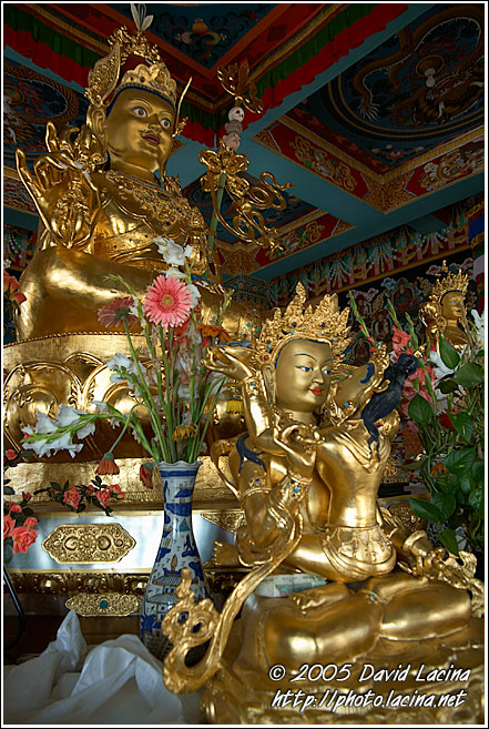 Interior Of The Temple - Golden Temple, Namdroling Monastery, India