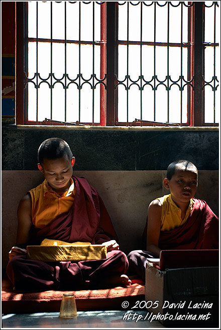 Monks Under Window - Golden Temple, Namdroling Monastery, India