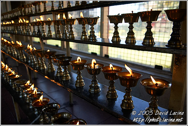 Oil Lamps - Golden Temple, Namdroling Monastery, India