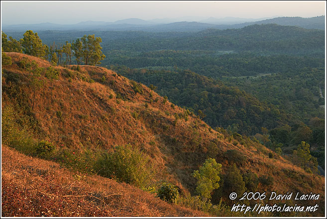 Kodagu Hills - Kodagu (Coorg) Hills, India