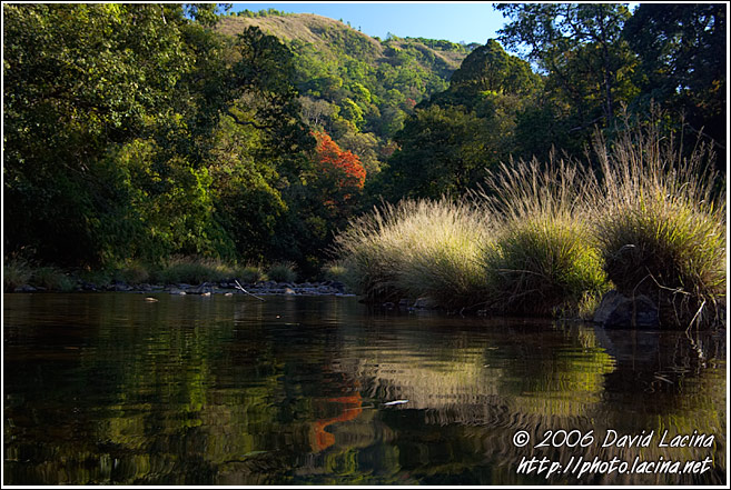 Coorg Nature - Kodagu (Coorg) Hills, India