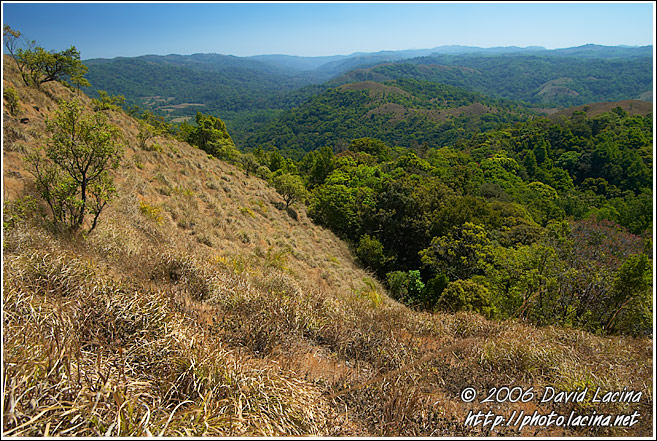Kodagu Hills - Kodagu (Coorg) Hills, India