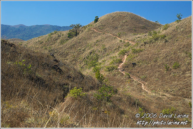 Trekking In Kodagu Hills - Kodagu (Coorg) Hills, India