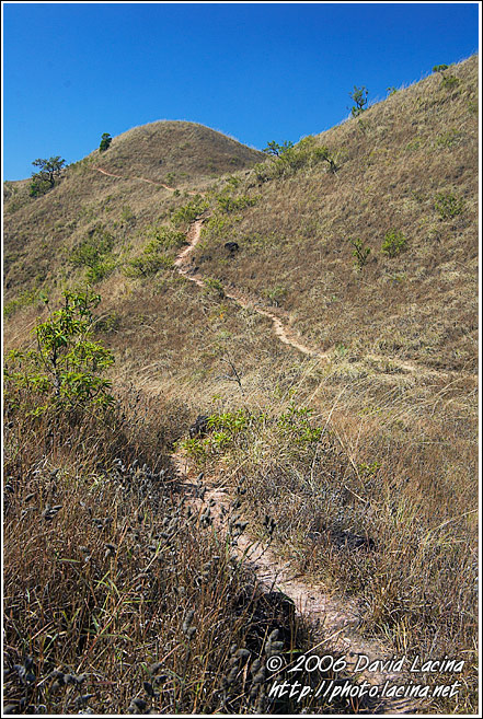 Trekking In Kodagu Hills - Kodagu (Coorg) Hills, India