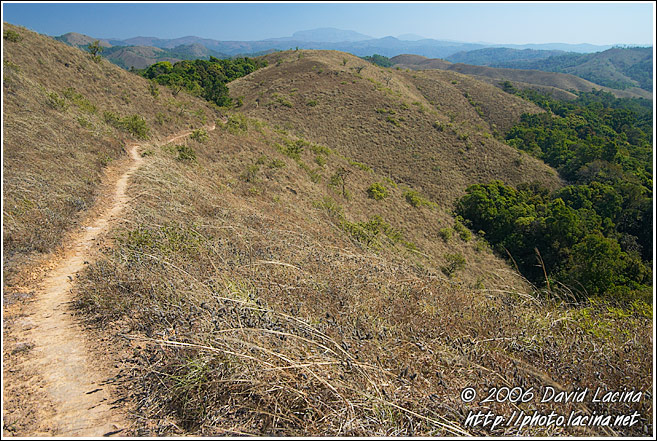 Trekking In Kodagu Hills - Kodagu (Coorg) Hills, India