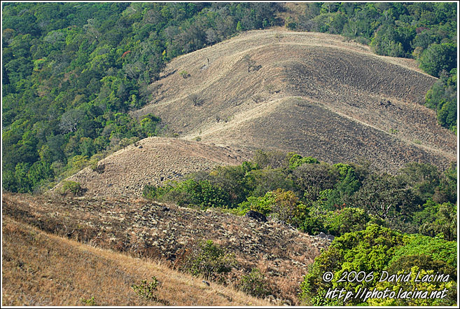 Kodagu Hills - Kodagu (Coorg) Hills, India