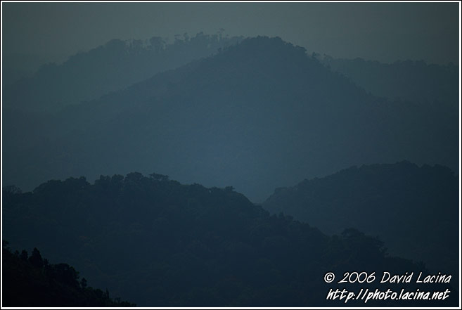 Morning Mist Over Coorg Jungle - Kodagu (Coorg) Hills, India