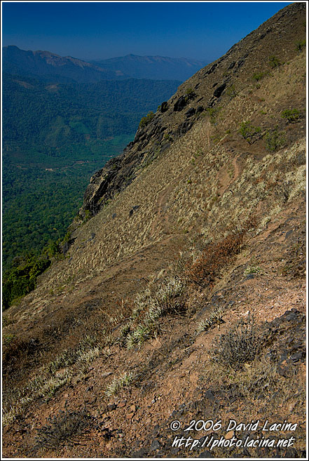 Kodagu Landscape - Kodagu (Coorg) Hills, India