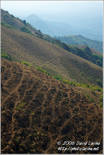 Kodagu Landscape - Kodagu (Coorg) Hills, India