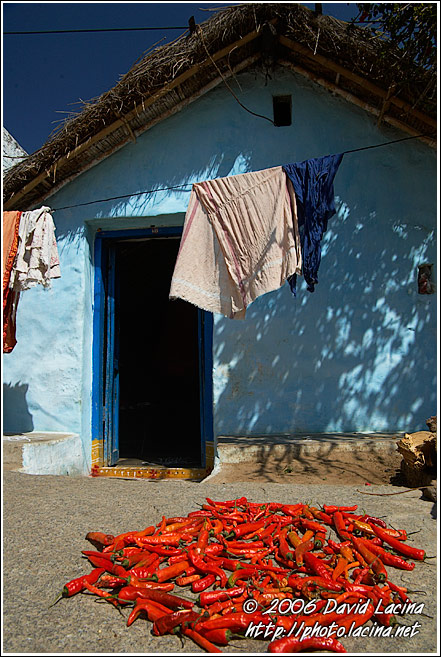 Drying Chilli - Hampi - Nature, India