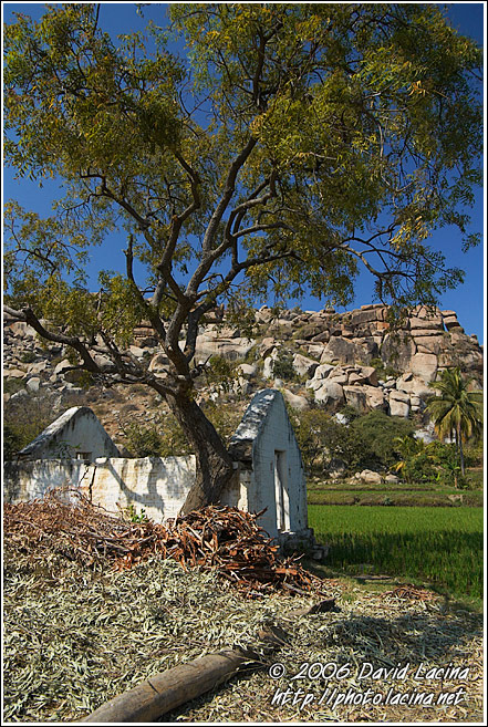 House By Rice Field - Hampi - Nature, India