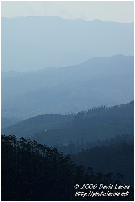 Ooty Landscape - Ooty, India