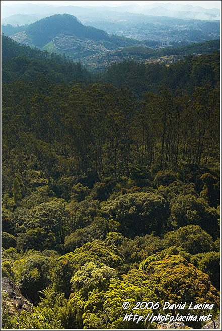 Ooty Landscape - Ooty, India