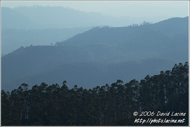 Ooty Landscape - Ooty, India