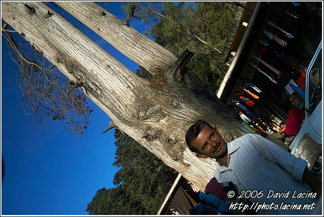 Moment From A Tibetan Market - Ooty, India