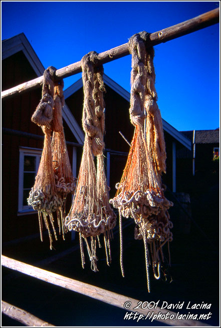 Siesta - Lofoten, Norway