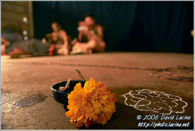 Stage Decorated With Flowers - Kathakali, India