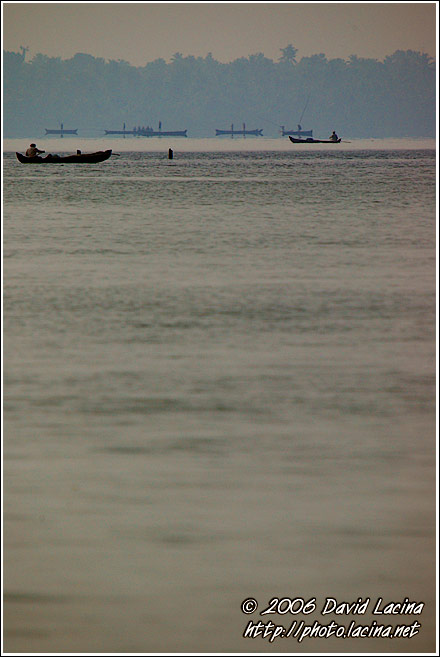 Morning Life On Backwaters - Backwaters, India