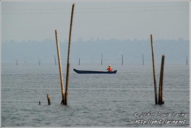 Morning Life On Backwaters - Backwaters, India