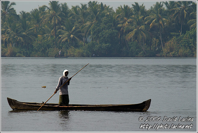 Morning Life On Backwaters - Backwaters, India