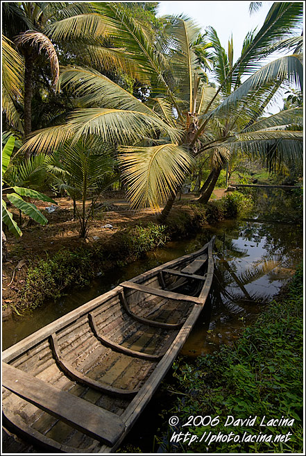 Small Channels Of Backwaters - Backwaters, India