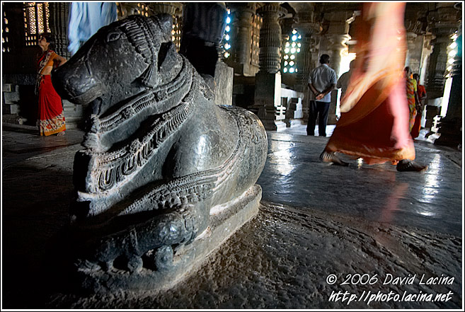 Interior Of Hoysaleswara Temple - Belur And Halebid, India