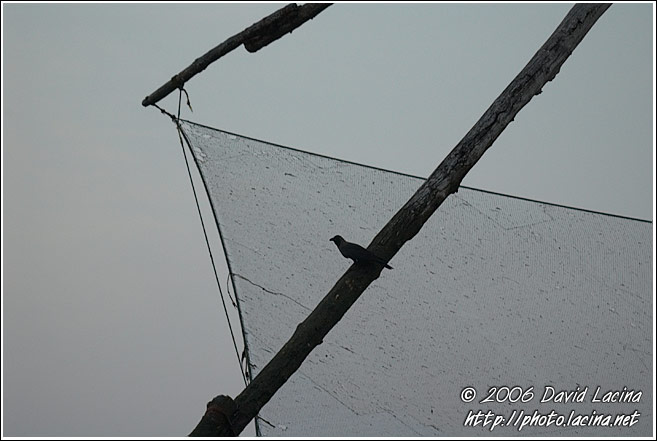Chinese Net Abstraction - Cochin - Chinese Nets (Cheena vala), India