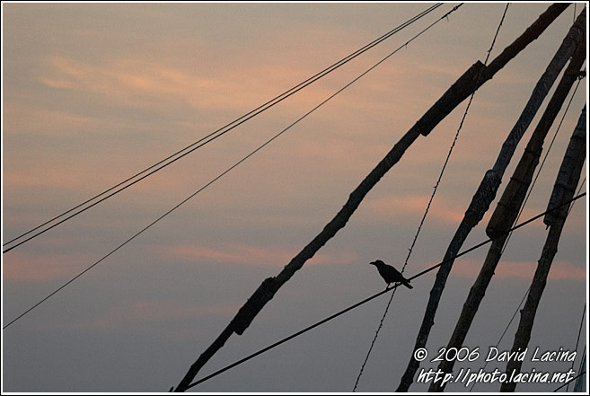 Chinese Net (Cheena Vala) - Cochin - Chinese Nets (Cheena vala), India