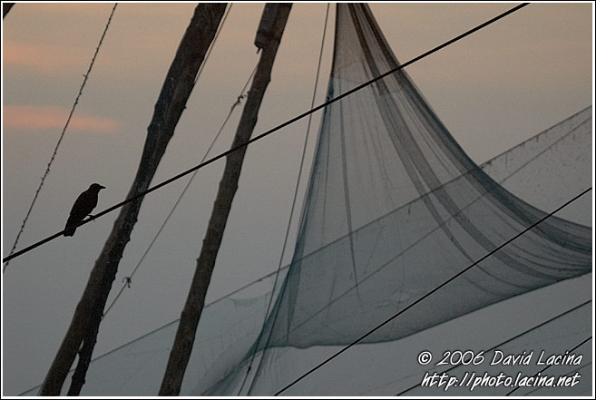Chinese Net (Cheena Vala) - Cochin - Chinese Nets (Cheena vala), India
