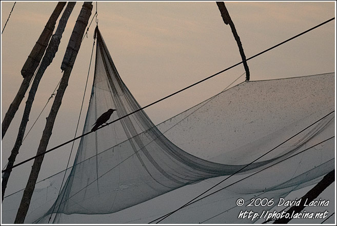 Chinese Net (Cheena Vala) - Cochin - Chinese Nets (Cheena vala), India