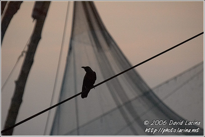 Chinese Net (Cheena Vala) - Cochin - Chinese Nets (Cheena vala), India