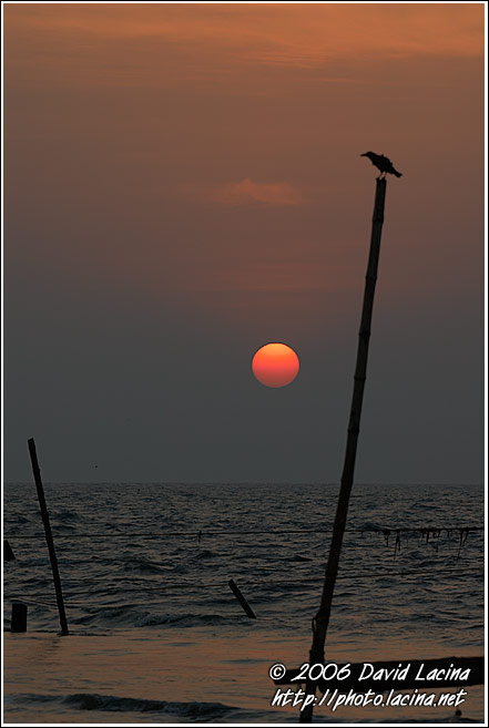 Sunset In Cochin - Cochin (Kochi), India
