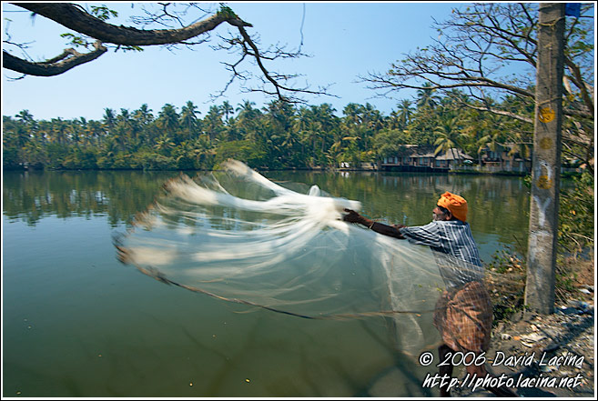 Fisherman Throwing Net - Cochin (Kochi), India