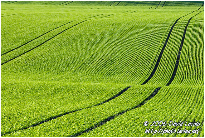 Fields - Best of 2006, Norway